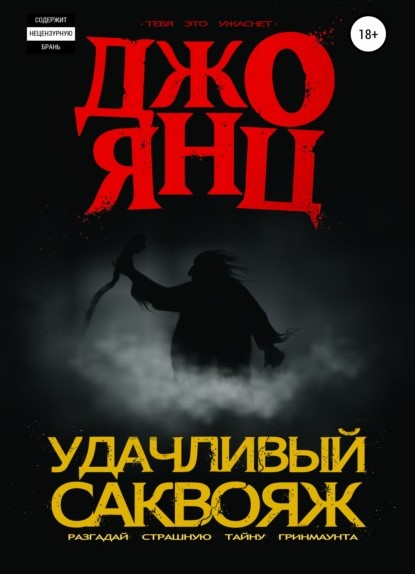 Джо Янц Удачливый саквояж книга